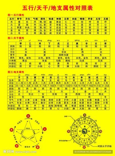 如何通过八字看学业?2025年最新解读