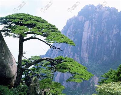 2026年黄历宜忌全解:20个重要注意事项