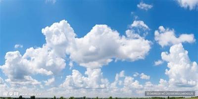 梦见花预示什么?5种梦境详细解读