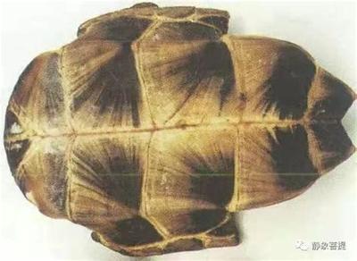 塔罗牌入门必知:20个核心概念详解