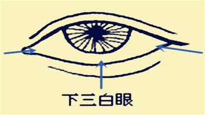 周易六十四卦之大有卦:最权威卦理分析